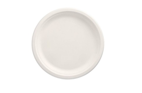 Teller_Bagasse_26cm.jpg
